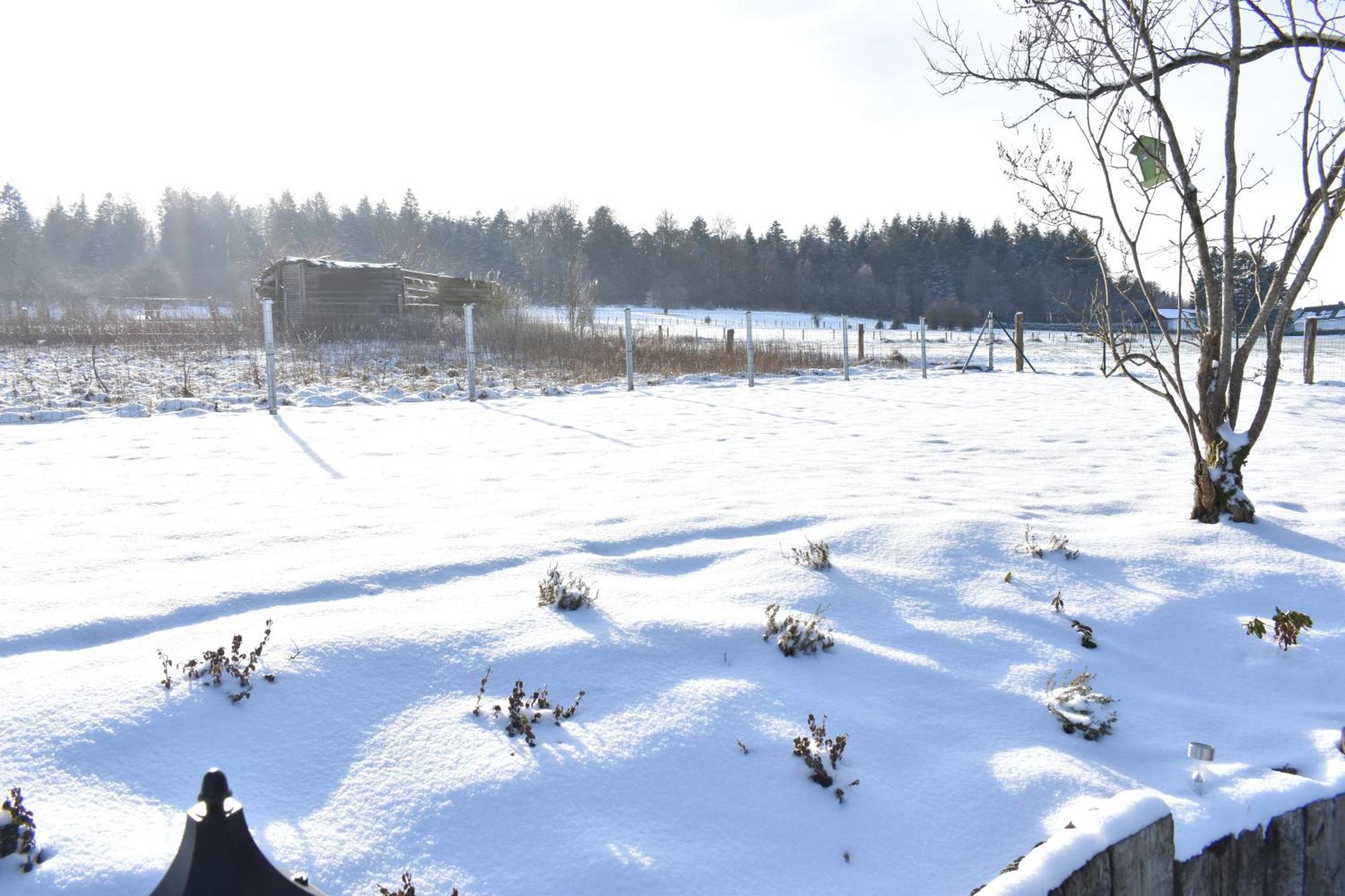 Gite Haven Maissin Exterior foto